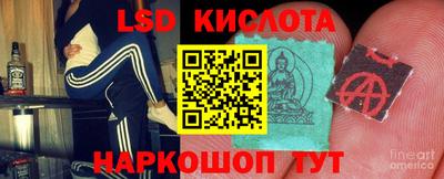 амф Новодвинск