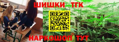 крисы Новокубанск