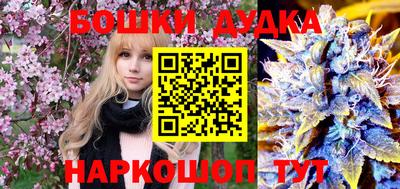 амф Новодвинск