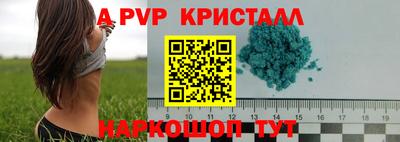 крисы Новокубанск